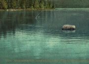 Adirondack Blue Mountain Landscape puzzle: lake and central rock detail