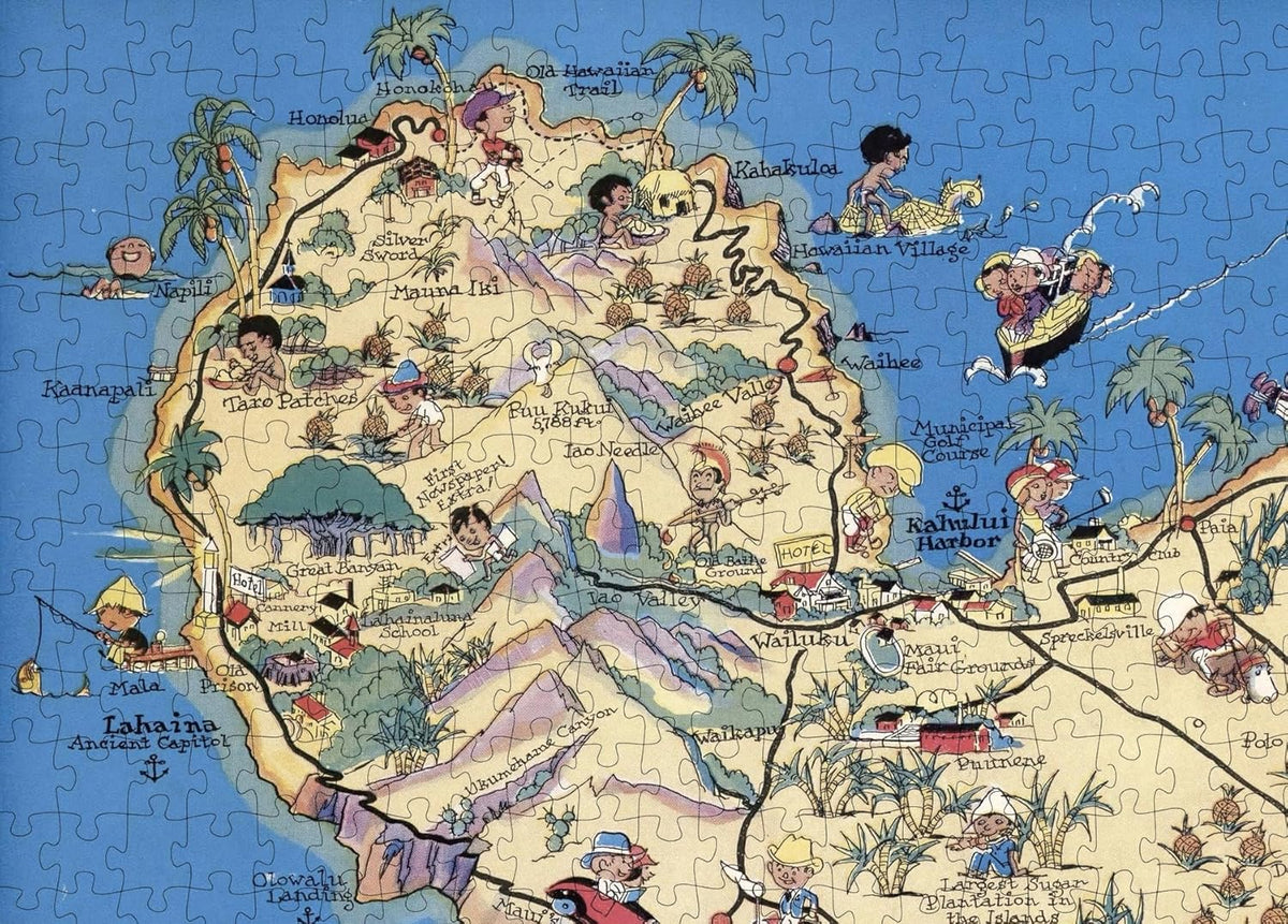 Maui Pictorial Map puzzle: western island detail