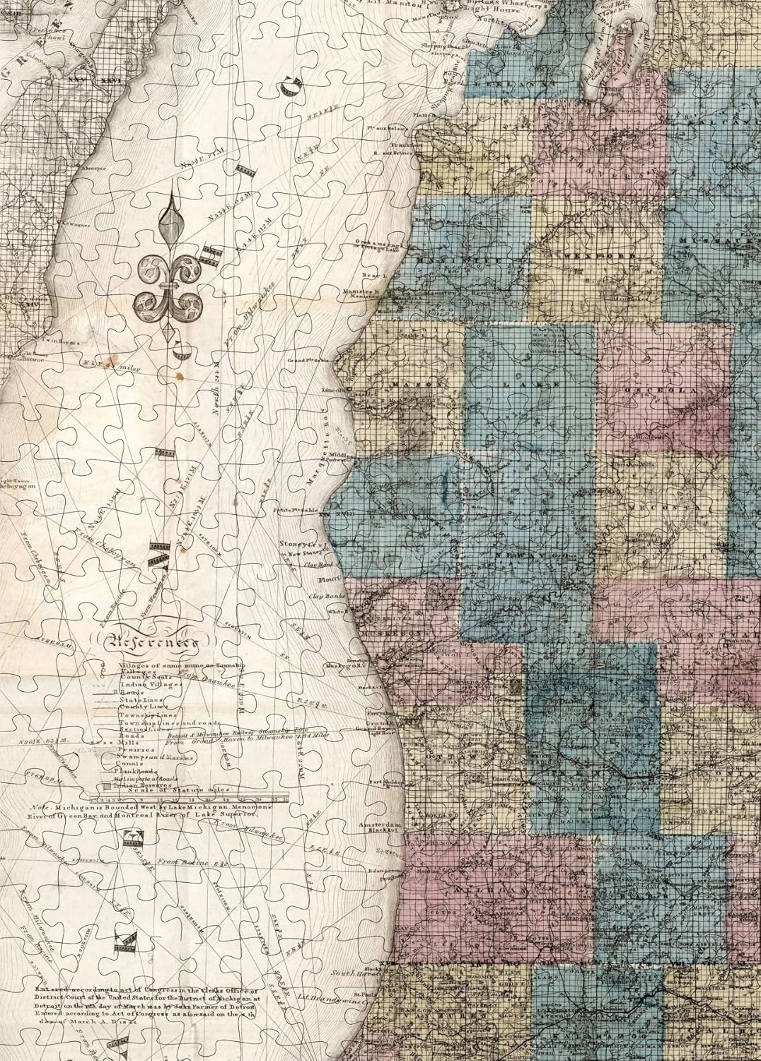 Michigan County Map puzzle: western shore county detail