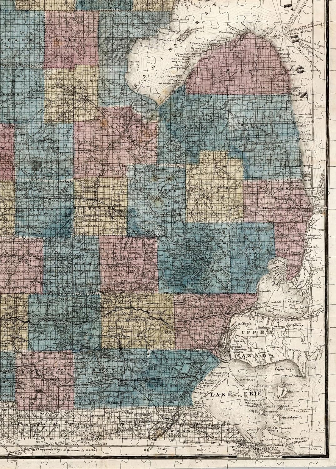 Michigan County Map puzzle: lower Peninsula county detail