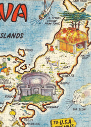 Okinawa Mem-O-Map puzzle: northern island illustration detail