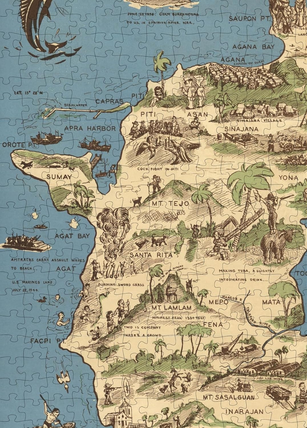 Guam Pictorial Map puzzle: southern island detail
